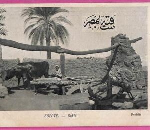 ag2714 - EGYPT - VINTAGE POSTCARD  - Ethnic