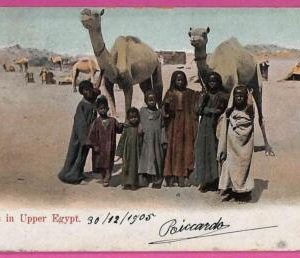 ag2722 - EGYPT - VINTAGE POSTCARD  - Ethnic - 1905