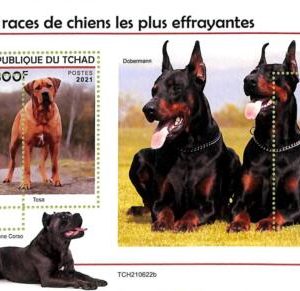 A9592 - TCHAD -  ERROR MISPERF Stamp Sheet - 2021 - Dogs, Animals
