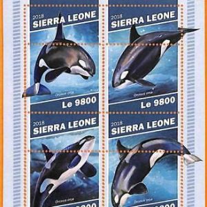 A6797 - SIERRA LEONE, Error, 2018, MISSPERF MINIATURBLATT: Orcas