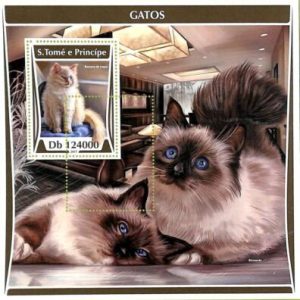 A9249a - S.TOME E PRINCIPE - ERROR MISPERF Stamp Sheet - 2017 - CATS
