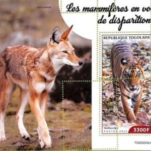 A9669 - TOGOLAISE -  ERROR MISPERF Stamp Sheet - 2022 - BIG CATS, Tigres