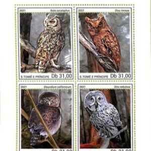 A9244 - S.TOME E PRINCIPE - ERROR MISPERF Stamp Sheet 2021 - BIRDS, OWLS
