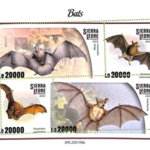 A9326 - SIERRA LEONE - ERROR MISPERF Stamp Sheet - 2022 - BATS, BIRDS