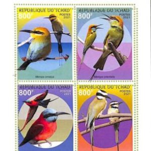 A9575 - TCHAD -  ERROR MISPERF Stamp Sheet - 2021 - Bee-eaters, Birds