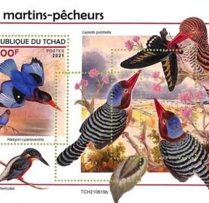 A9574 - TCHAD -  ERROR MISPERF Stamp Sheet - 2021 - Kingfishers, Birds