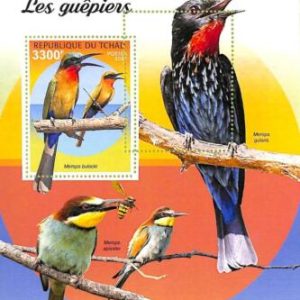 A9576 - TCHAD -  ERROR MISPERF Stamp Sheet - 2021 - Bee-eaters, Birds