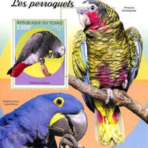 A9578 - TCHAD -  ERROR MISPERF Stamp Sheet - 2021 - Parrots, Birds