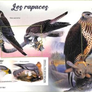 A9580 - TCHAD -  ERROR MISPERF Stamp Sheet - 2022 - Predators, Birds