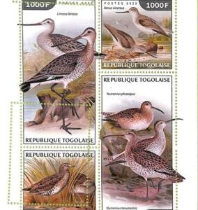 A9661 - TOGOLAISE -  ERROR MISPERF Stamp Sheet - 2022 - Birds