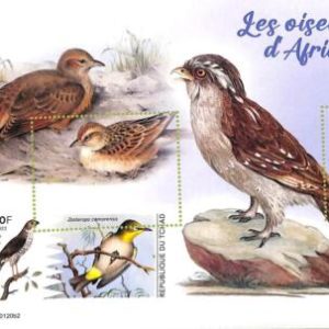 A9582 - TCHAD -  ERROR MISPERF Stamp Sheet - 2022 -   Birds in Africa