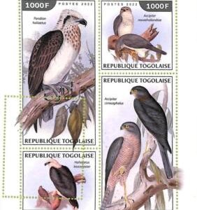 A9663 - TOGOLAISE -  ERROR MISPERF Stamp Sheet - 2022 - Predators, Birds