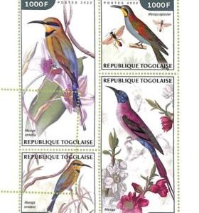 A9662 - TOGOLAISE -  ERROR MISPERF Stamp Sheet - 2022 - Bee-eaters, Birds