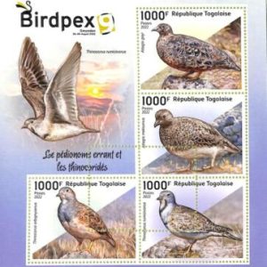 A9665 - TOGOLAISE -  ERROR MISPERF Stamp Sheet - 2022 - Birds
