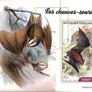 A9664 - TOGOLAISE -  ERROR MISPERF Stamp Sheet - 2022 - Bats, Birds
