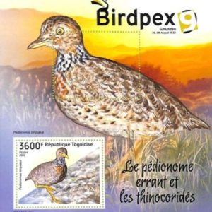 A9678 - TOGOLAISE -  ERROR MISPERF Stamp Sheet - 2022 - BIRDS