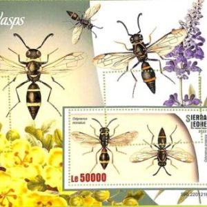 A9325 - SIERRA LEONE - ERROR MISPERF Stamp Sheet - 2022 - Insects WASPS