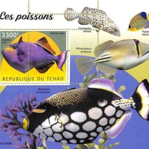 A9584 - TCHAD -  ERROR MISPERF Stamp Sheet - 2021 - Fishes, Marine Life