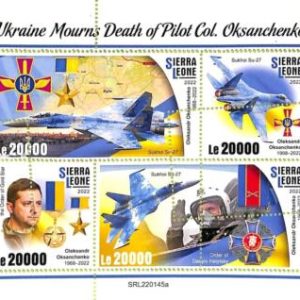 A9283 - SIERRA LEONE - ERROR MISPERF Stamp Sheet - 2022 Pilot Col.Oksanchenko