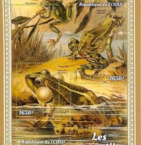 A9587 - TCHAD -  ERROR MISPERF Stamp Sheet - 2021 - FROGS, Reptiles  amphibians