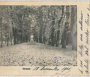 CARTOLINA d'Epoca MONZA - Vimercate : Oreno  1905
