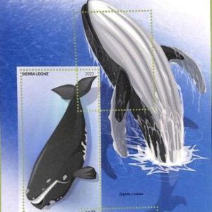 A9345 - SIERRA LEONE - ERROR MISPERF Stamp Sheet - 2022 - Whales, Marine life