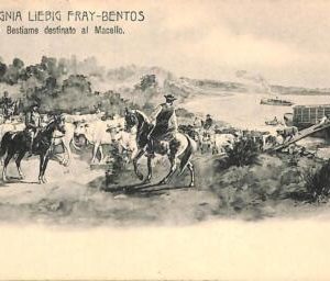 ac1754 - URUGUAY - VINTAGE POSTCARD -  Fray-Bentos