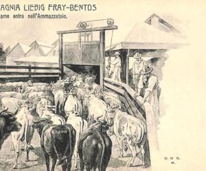 ac1755 - URUGUAY - VINTAGE POSTCARD -  Fray-Bentos