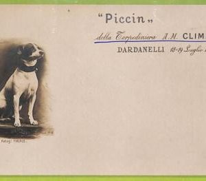 af7469 - VINTAGE POSTCARD  Ansichtskarten - SHIP "Climene " NAVI - DOG!!
