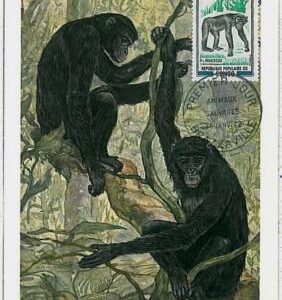 32158 - CONGO- POSTAL HISTORY -MAXIMUM CARD - 1972 :Gorillas, Wild Animals
