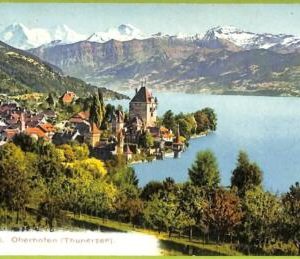 ad4892 - SWITZERLAND Schweitz - Ansichtskarten VINTAGE POSTCARD - Oberhofen
