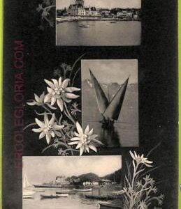 ad4880 - SWITZERLAND Schweitz - Ansichtskarten VINTAGE POSTCARD - Ouchy