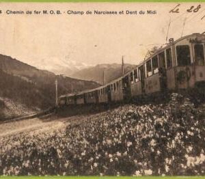 ad4714 - SWITZERLAND - Ansichtskarten VINTAGE POSTCARD - Dent du Midi - 1911