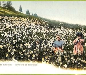 ad4783 - SWITZERLAND Schweitz - Ansichtskarten VINTAGE POSTCARD - Montreux