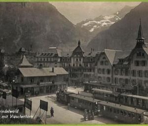 ad4406 -  SWITZERLAND  Schweitz - Ansichtskarten VINTAGE POSTCARD - Grindelwald