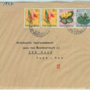 67437 - Belgian CONGO Belge  - Postal History -  STAMPS on COVER 1957  FLOWERS