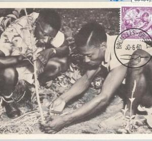 63404 -  BELGIUM - POSTAL HISTORY: MAXIMUM CARD 1960 -  INDEPENDENCE of CONGO