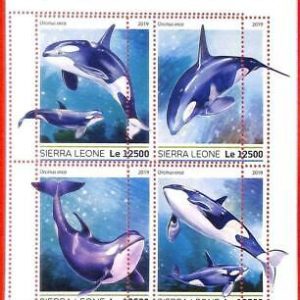 A4605 - SIERRA LEONE - ERROR MISPERF, Miniatura hoja: 2019, Orcas, Vida Marina