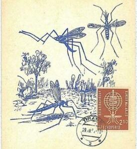 32537 - ALBANIA - MAXIMUM CARD : insects medicine MALARIA 1962 # 4