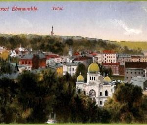 af3516 - JUDAICA vintage postcard: GERMANY - Luftkurort Eberswalde