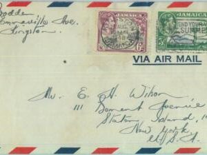 83373  - JAMAICA - POSTAL HISTORY - PROPAGANDA Postmark on COVER to USA  1948