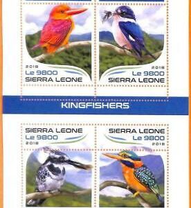 A6810 - SIERRA LEONE, Error, 2018, MISSPERF MINIATURBLATT: Eisvögel