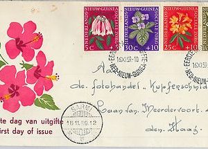62502  - DUTCH NEW GUINEA - POSTAL HISTORY - FDC COVER 1959 :  FLOWERS Orchids