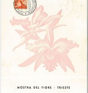 56729  - ITALY - POSTAL HISTORY:  SPECIAL POSTCARD - FLOWER SHOW Orchids 1961