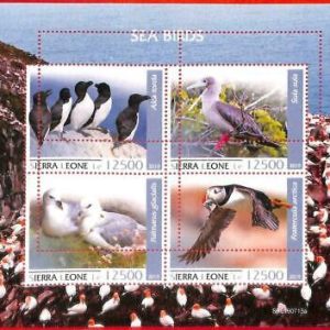 A4534 - SIERRA LEONE - ERROR MISPERF, Miniatura hoja: 2019, Sea Birds, Segals