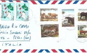 74015 - COLOMBIA -   COVER to ITALY  1989 - ANIMALS Maps CAPIBARA