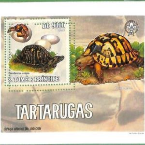 A0541 - S. TOME' & PRINCIPE - ERROR  MISSPERF SHEET -  Turtles BOY SCOUTS  2005