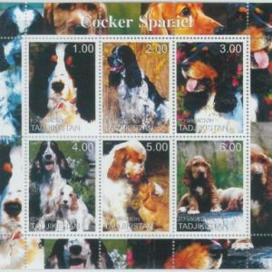 M1879 - TAJIKISTAN, 2000 MINIATURE SHEET: Dogs, Cocker Spaniel
