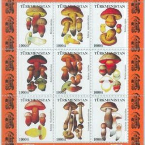 M1928 - TURKMENISTAN, MINIATURE SHEET: Mushrooms of Asia