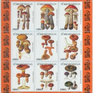 M1929 - TURKMENISTAN, MINIATURE SHEET: Mushrooms of Asia